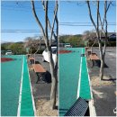 모항초등학교 이미지