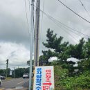교래손칼국수 | 제주 조천 교래 곶자왈 손칼국수 맛집 후기