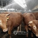 FUN구제 이미지