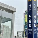 엉터리생고기무한대패 이미지