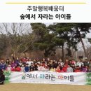 숲에서자라는아이들 이미지