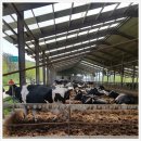 석기목장 이미지