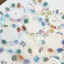 도림초교병설 이미지