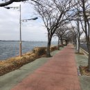 명지캐럿108 아파트 옆 도로 | 부산 다대포 구포역까지 낙동강 종주자전거길 역주행 라이딩후기