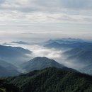 백두환경산업 이미지