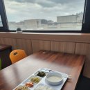 돈채 이미지