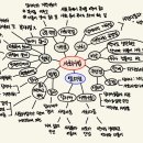 복지요결 마인드맵과 느낀점 이미지