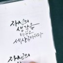 마음을 담은 붓펜 캘리그라피 네이버블로그