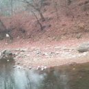 동점마을 암각문 이미지