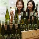 비나 이미지