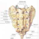 염기룡한의원 이미지