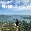 월악로 | 여름 악어봉 등산 정보 멋진 사진 찍으러 꼭 가보세요