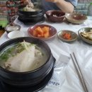 만나삼계탕