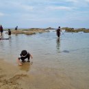 자작도하우스 이미지