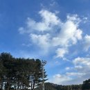 행복한김밥하우스 | 지산리조트 스키장 초중급 중상급 슬로프 코스 후기