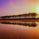 운여해변 이미지