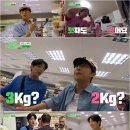 핑크 그라운드 이미지
