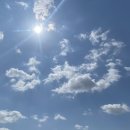 블랙스완래쉬 이미지