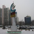 관악산공원(광장) 이미지