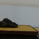 앙바엑스포 전시관 이미지