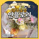 [광주 동구] 광주꽃집 인플로리 향긋 꽃다발 후기