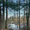 서대산농장 | 서대산오토캠핑장 쿠디에어텐트5.8 캠린이봄캠핑 주말나들이