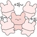 쌀로만왕만두 이미지
