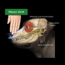 송정동물의료센터 이미지
