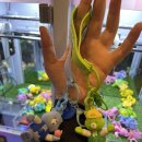 일타뽑기방 이미지