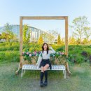 그늘막61 | 수원 일월수목원 야간개장 주차 입장료 일월저수지 수원 놀곳