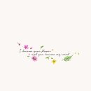 세라워크 네이버블로그