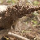 감로농장 이미지