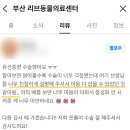 대전야생동물구조관리센터 동물병원 | 덕천동 동물병원, 고양이 갈색귀지 그냥 두면 안 되는 이유