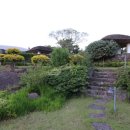 카페호와 이미지