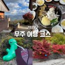 전북 무주 당일치기 여행 코스 가을 여행 무주 가볼 만한 곳 (구천동어사길, 안국사, 머루와인동굴)