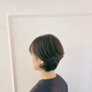 하루인헤어