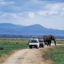 화이트파크 이미지