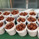 삼송로 193번길 이미지