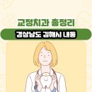 경상남도 김해시 내동 교정치과 총정리