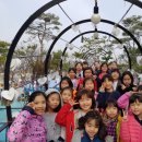용인대 현대태권도장 이미지