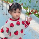 성남농장 | 17개월 아기랑 / 용인 딸기농장 체험 &amp; 동물구경 '헤븐온어스 체험농장'