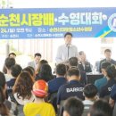 제17회 순천시장배 수영대회 위키트리
