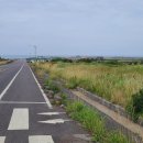 해안로1 이미지