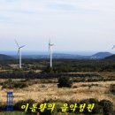 유채꽃프라자