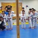 리틀태권도장 이미지