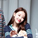 ㅈㅇ Daum카페