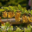 한라전설(주) 이미지