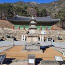 무릉스테이 이미지