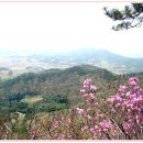 2017년 4월 일 강진 만덕산 석문봉 구름다리 산행&가우도 출렁다리 트레킹산행 이미지