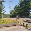 등명해변 이미지